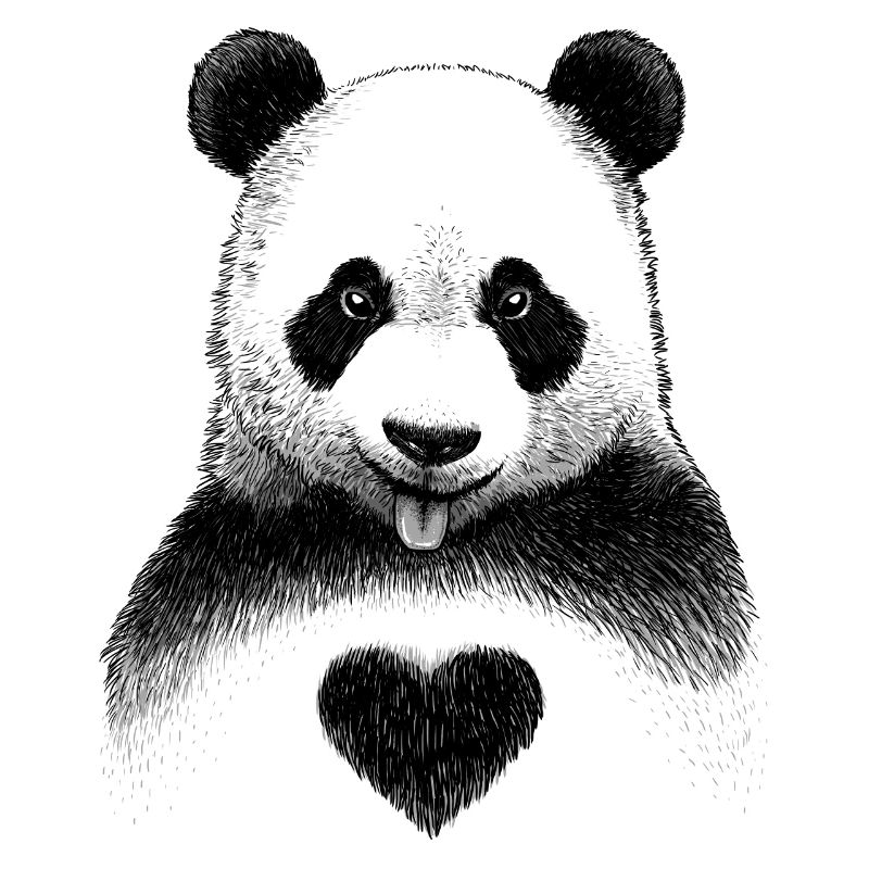 Panda Liebe