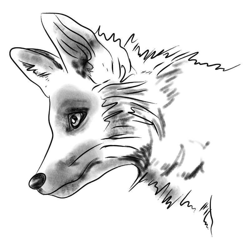 Fuchs im Profil