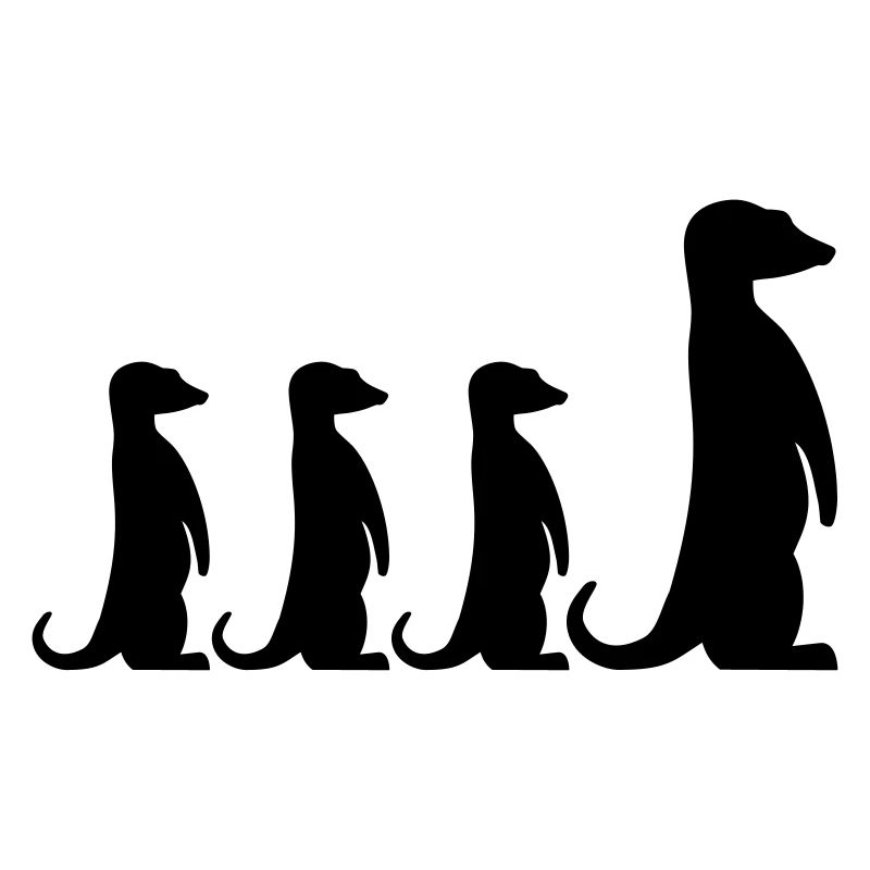Suricate