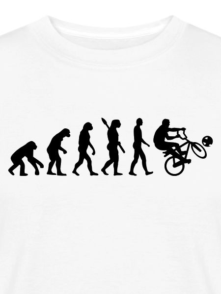 Evolution Cycle ball