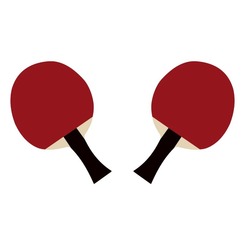 2x Tischtennisschläger