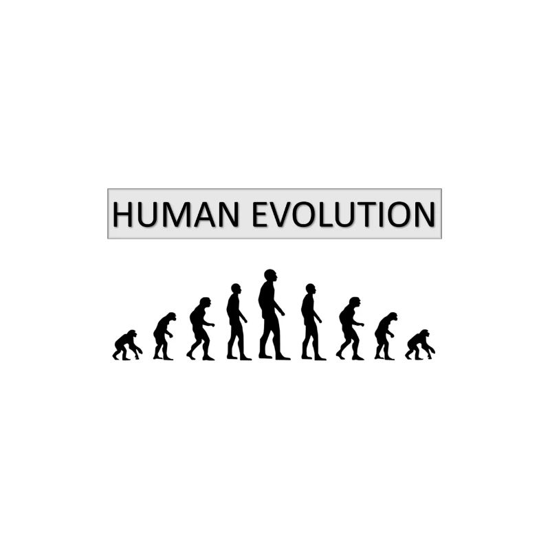Human Evolution Drôle de design