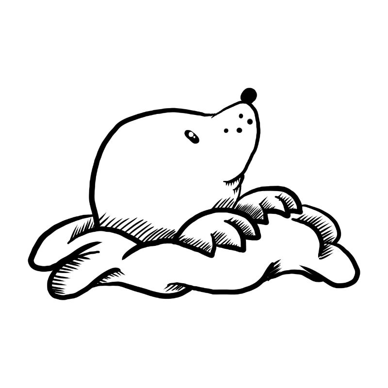 Sweet mole, black.