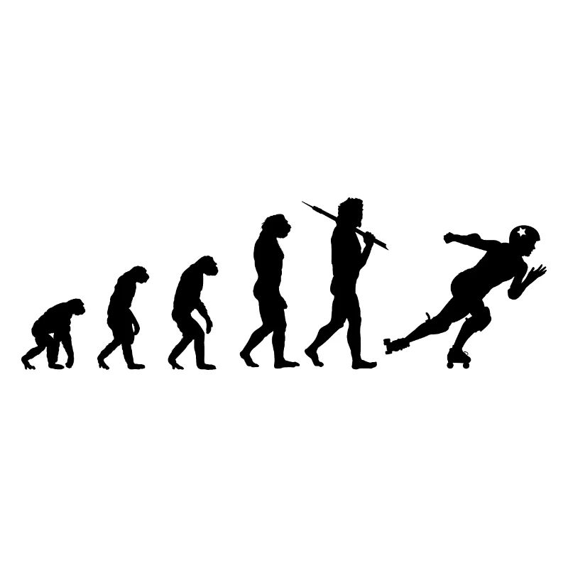 Evolution Quad Skate