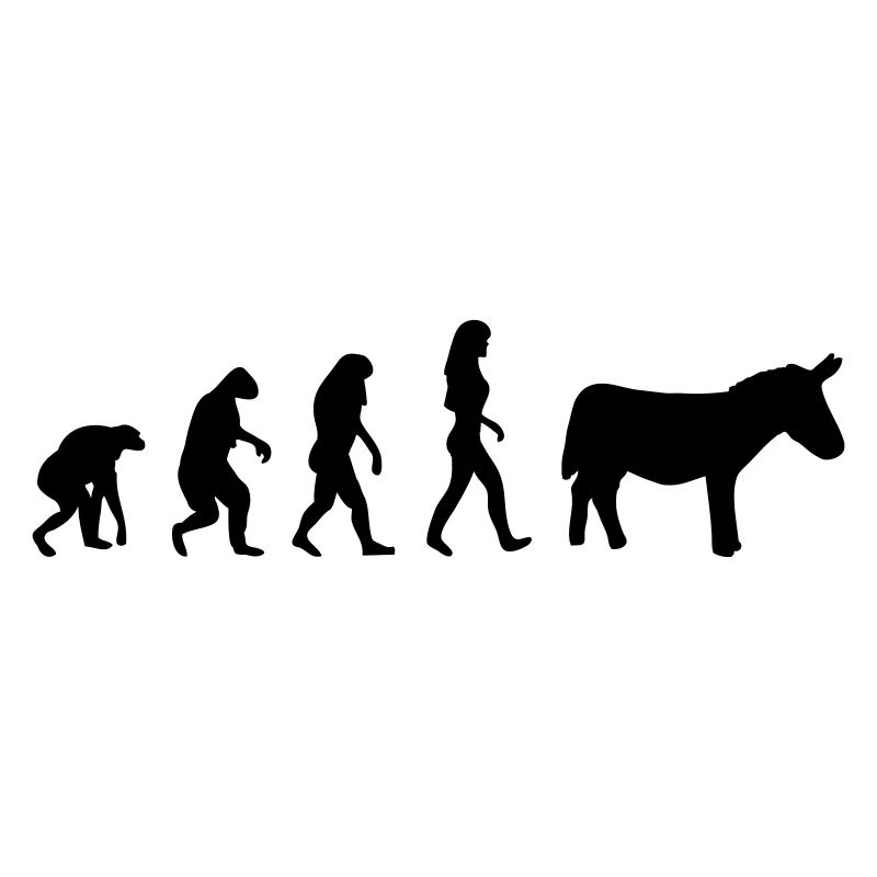 esel evolution frauen