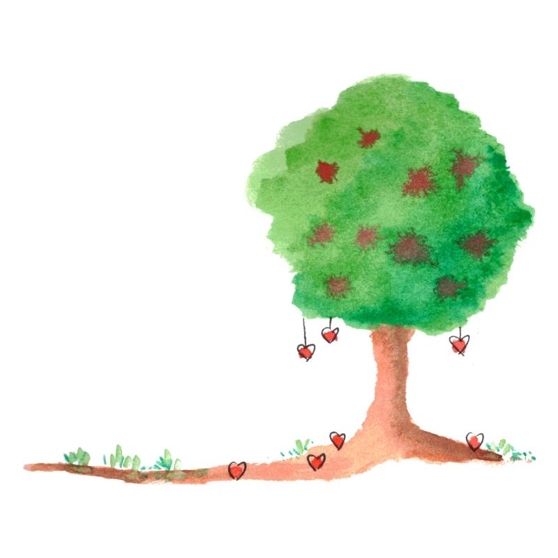 pommier d'amour