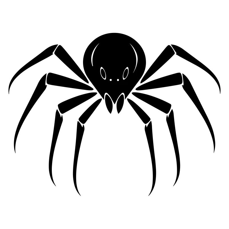 Spinne
