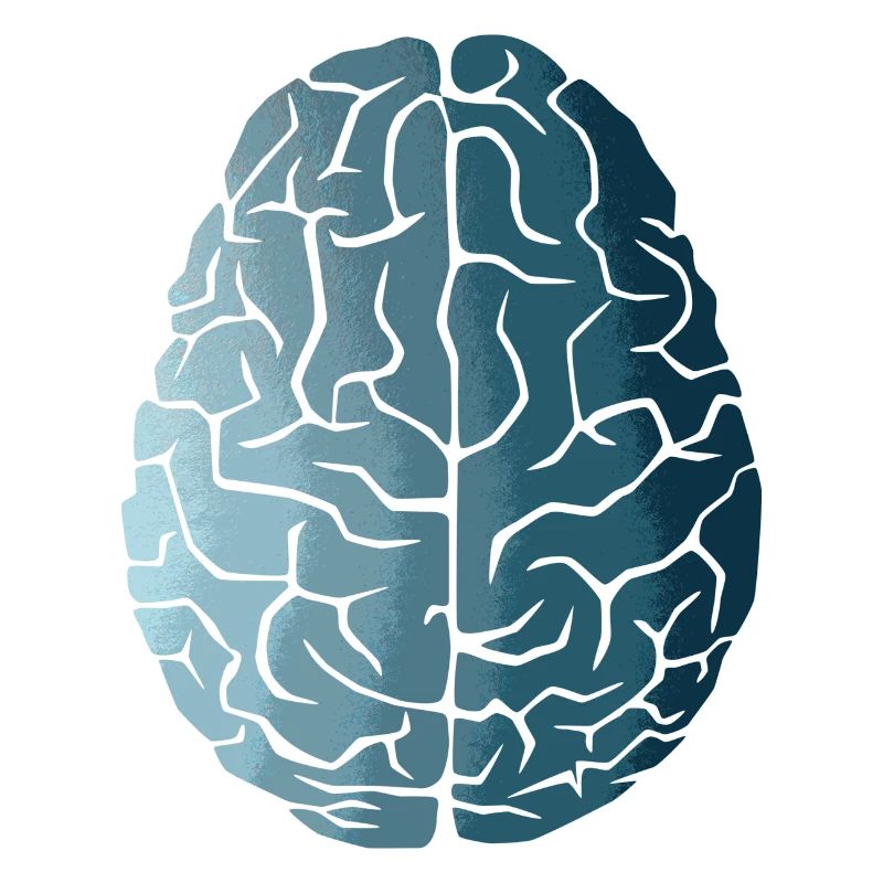Curso del cerebro