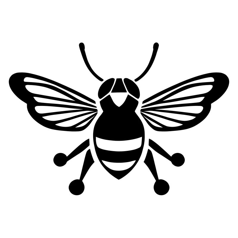 Cicada