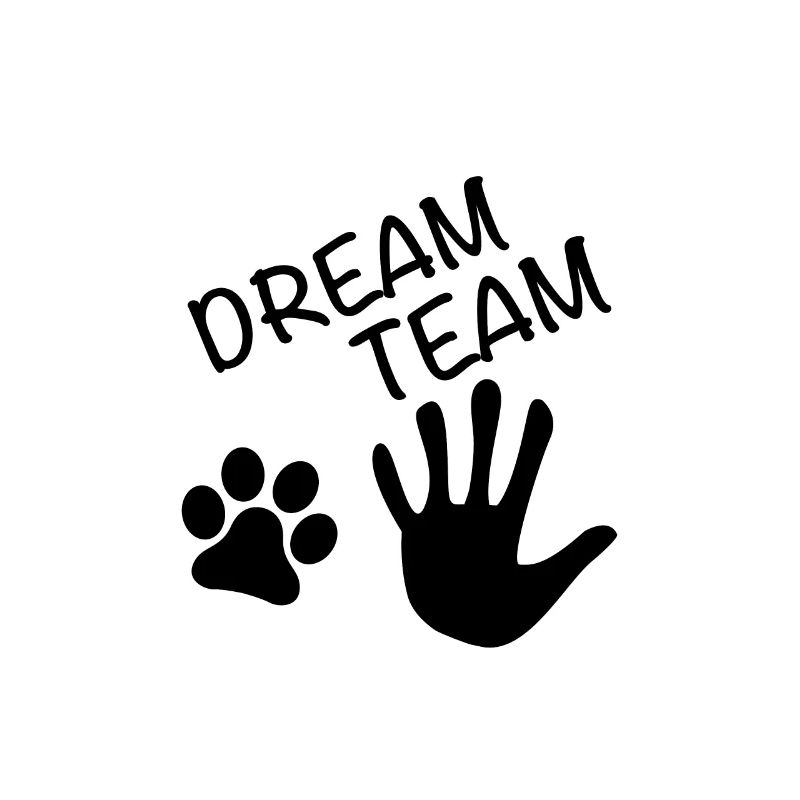 Dream Team Hand Pfote