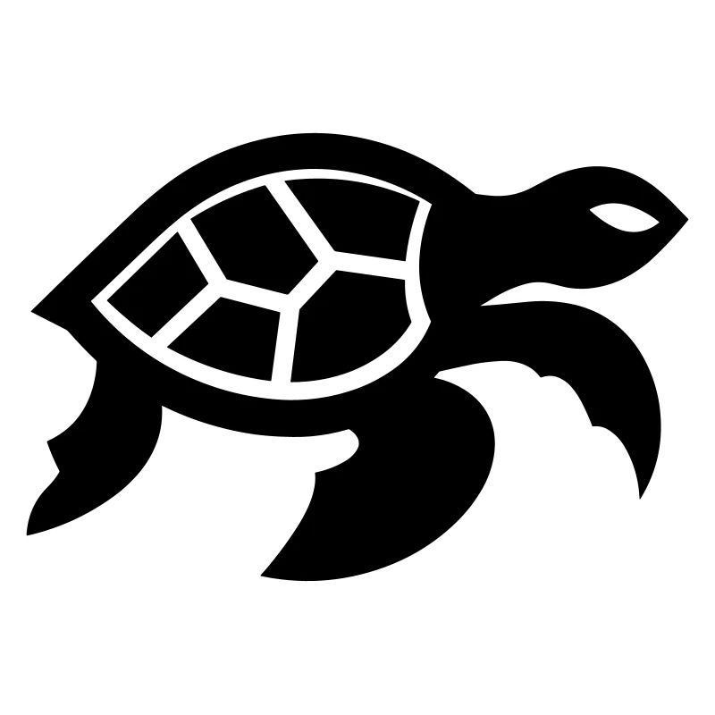 tortoise