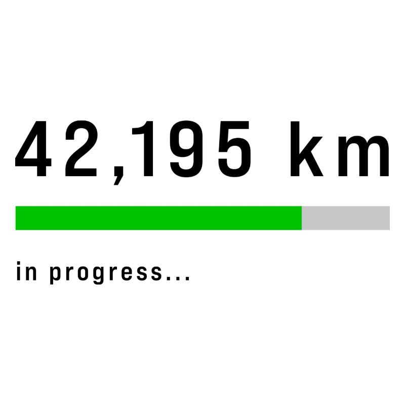 41,195 km in Progress