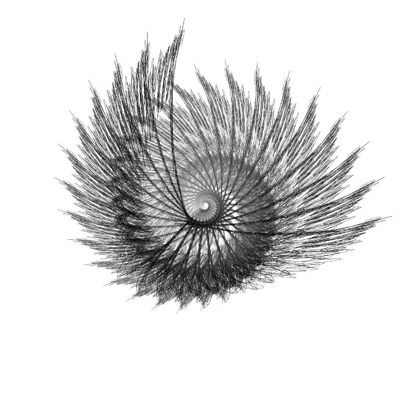 Schwarzer Nautilus