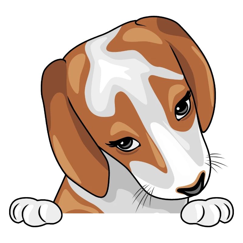 Peeking timide chiot Beagle