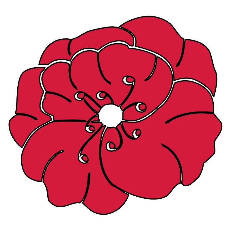 Rote Pfingstrose, Garten, Blume