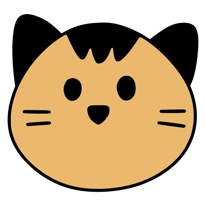 Cute cat