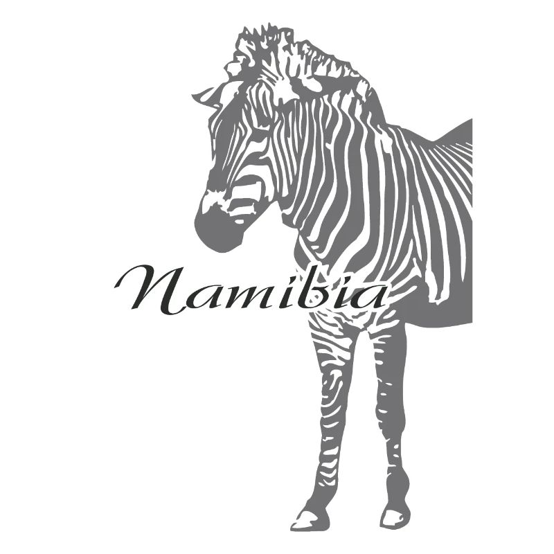 Namibia - Zebra