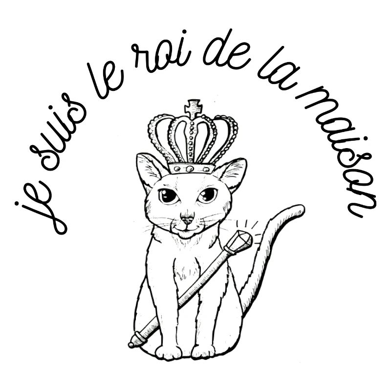 le roi chat