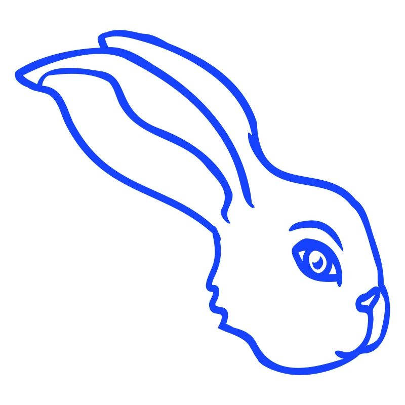 Bunny face peeking sideways profile side view