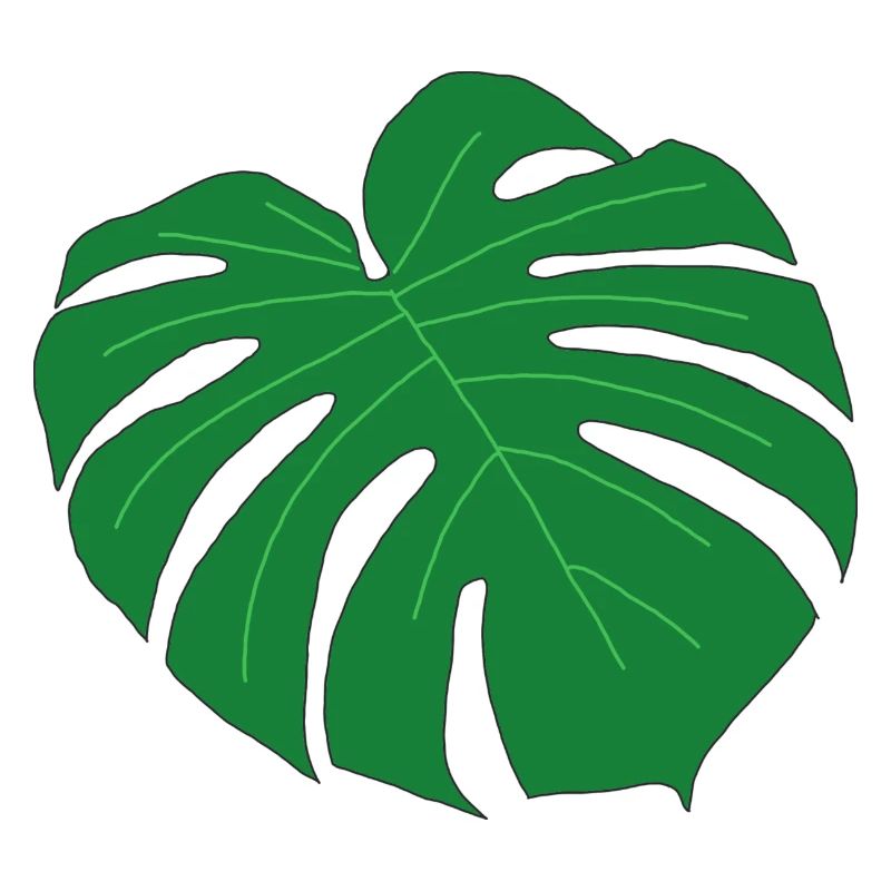 Monstera Leaf