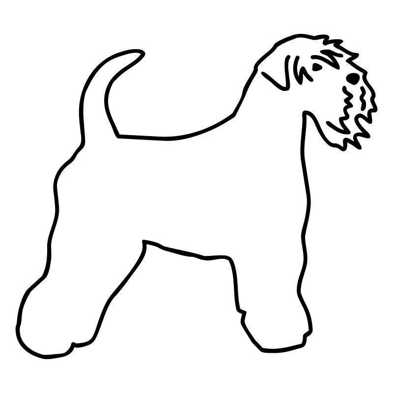 Irish Soft Coated Wheaten Terrier