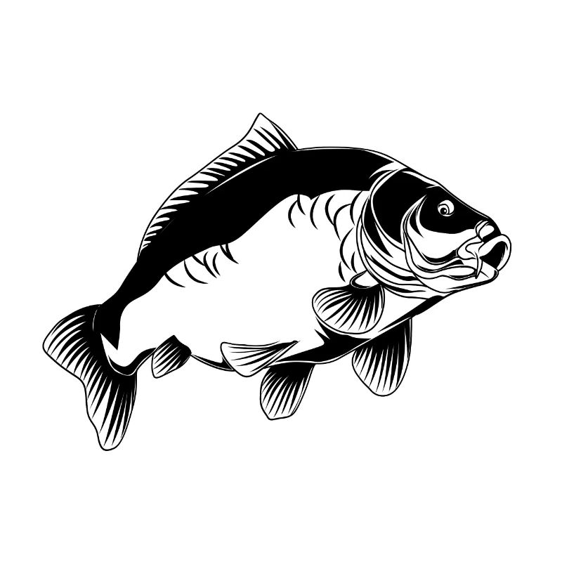 Fishing gear carp catching mirror carp image