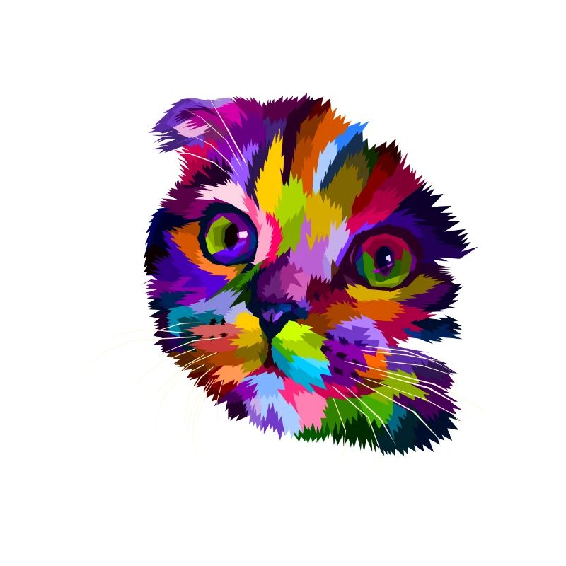 Scared Cat