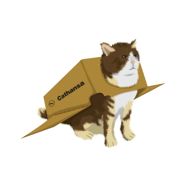 airplane cat meme
