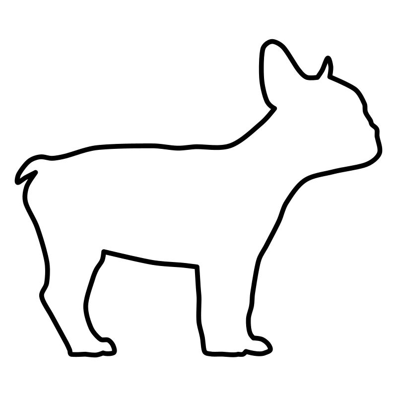 Contours du bouledogue anglais 1