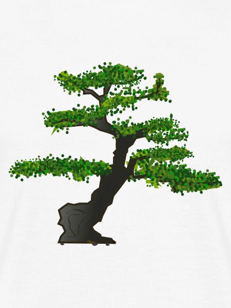 Bonsai
