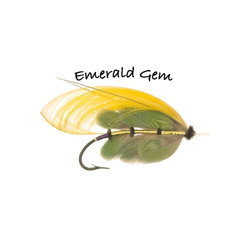 Smaragd-Edelstein