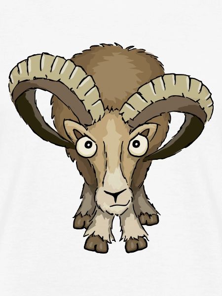 bockiges Mufflon