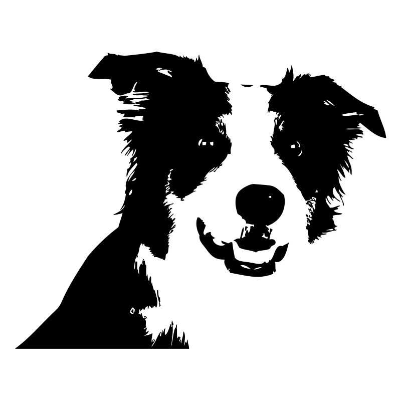 Border-Collie