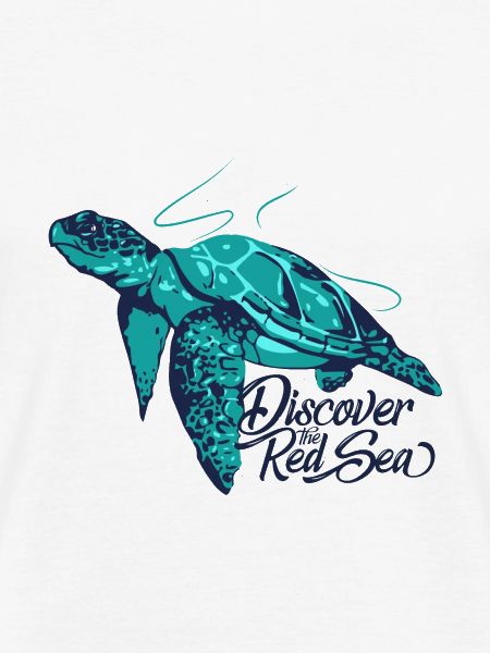 Only Turtle