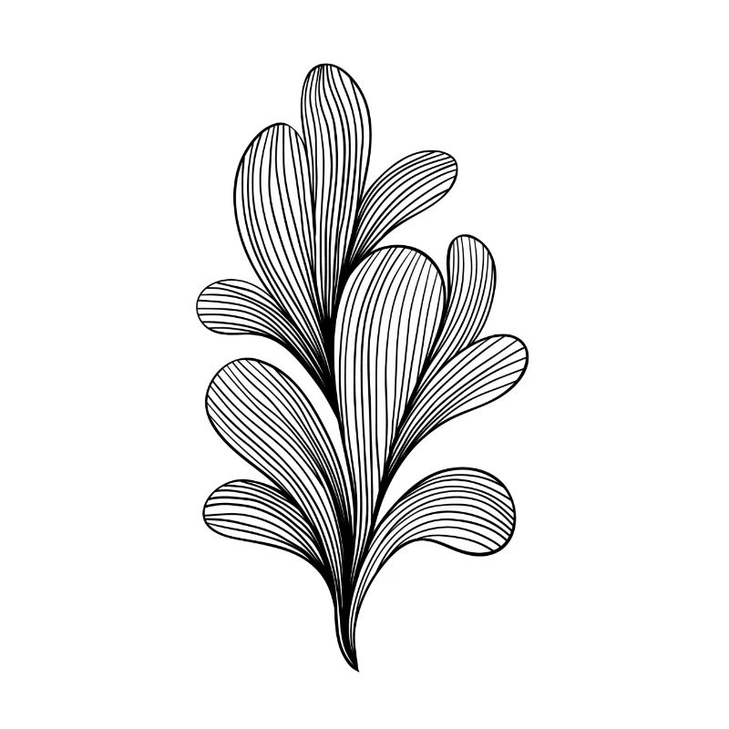 buisson noir