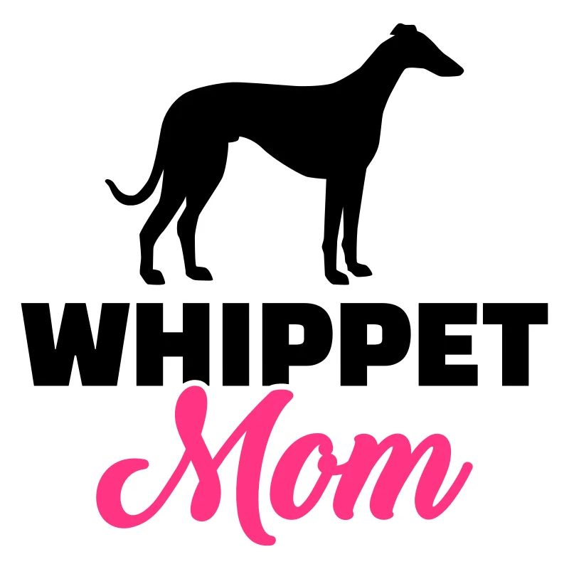Whippet