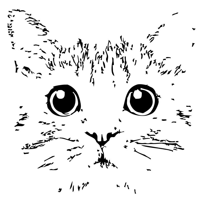cat head