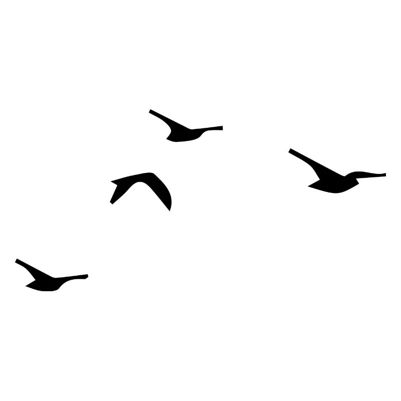 Oiseaux