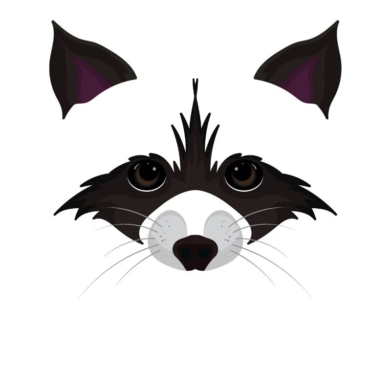Visage mignon de raton laveur