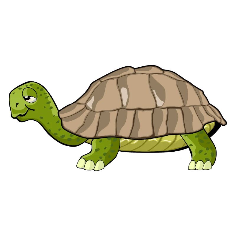 turtle drawing