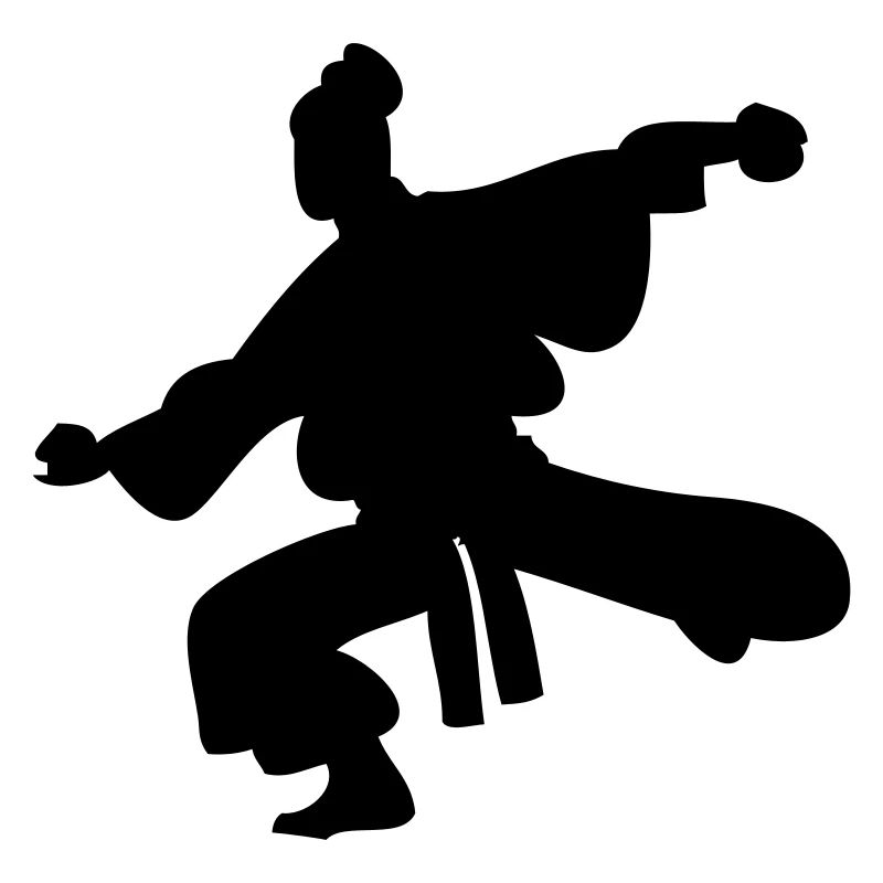 Maître de Kungfu