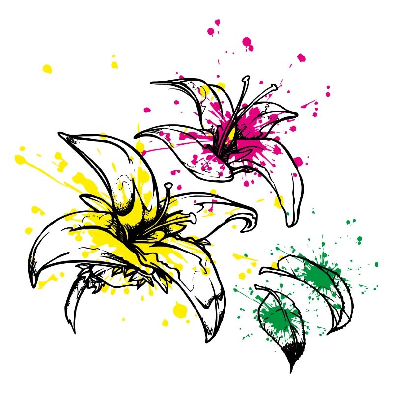 blüten splash