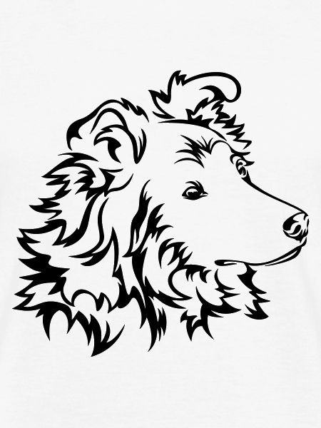 Langhaar-Collie