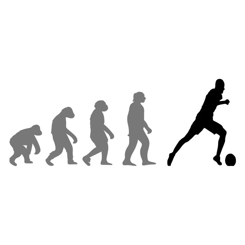 Evolution Fußball