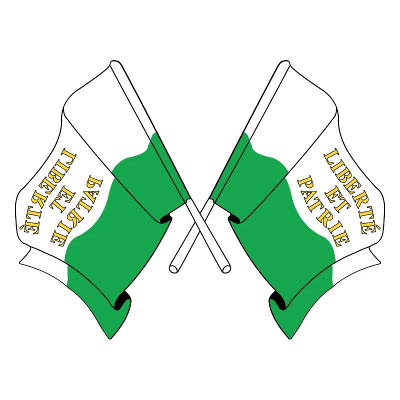 Deux drapeaux Vaud Suisse