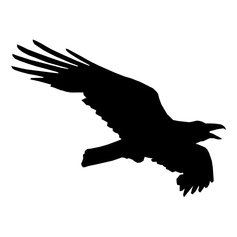 ravenfly1