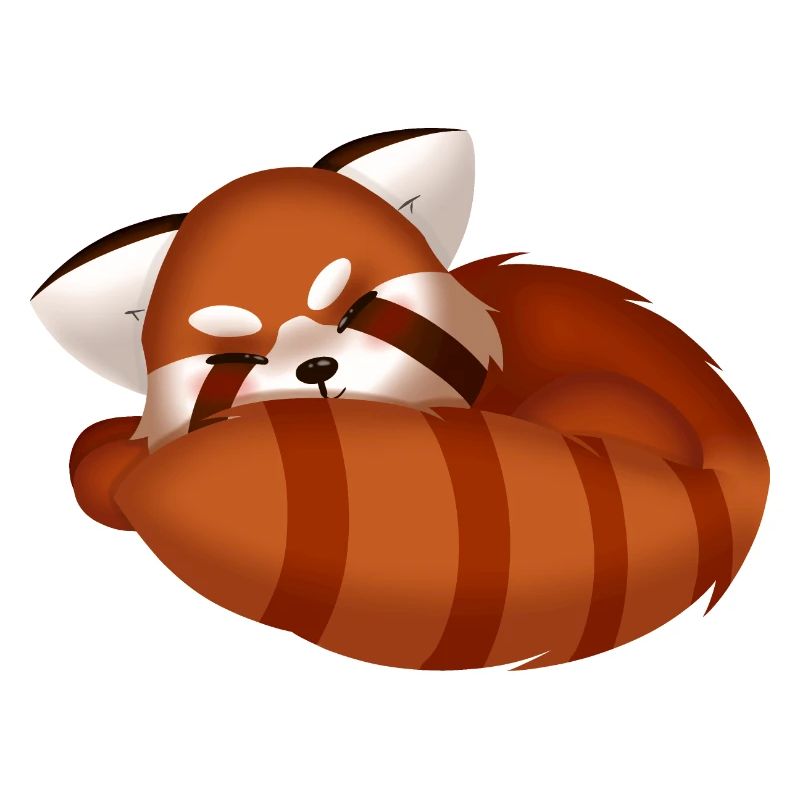 Roter Panda, schlafend