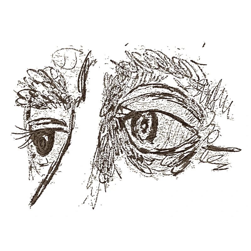Face