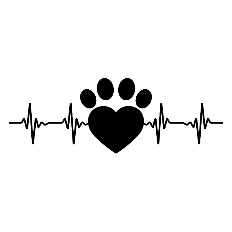 Patte de chien
