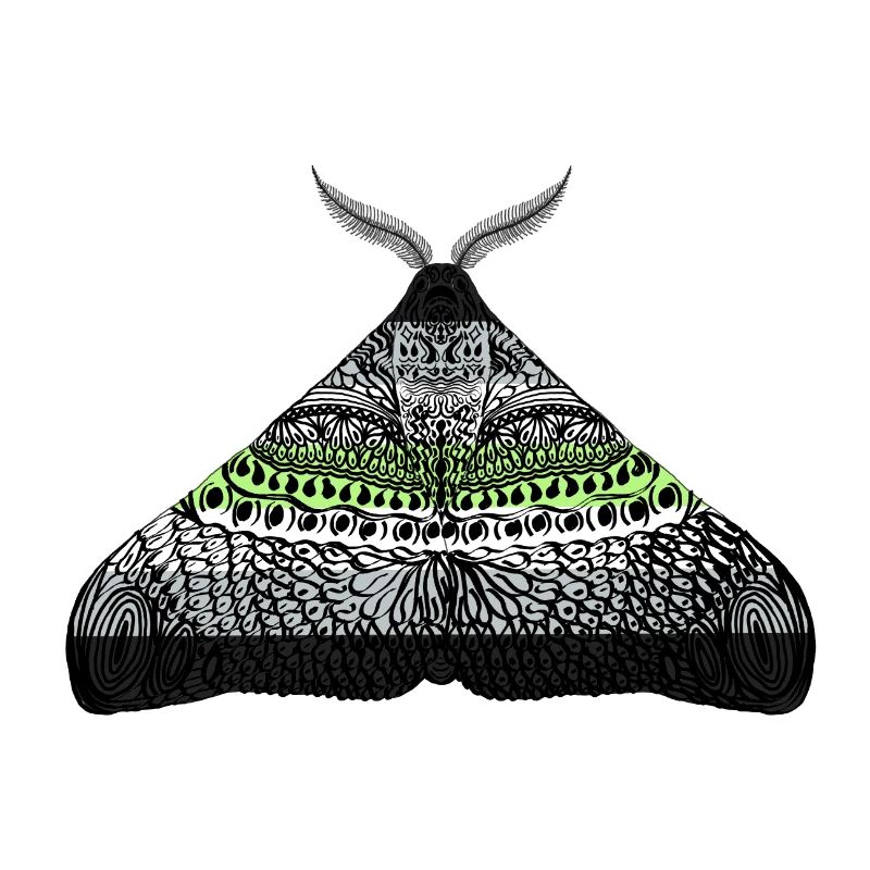 Agender pride moth